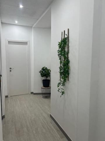 Residence Morena Rome Extérieur photo